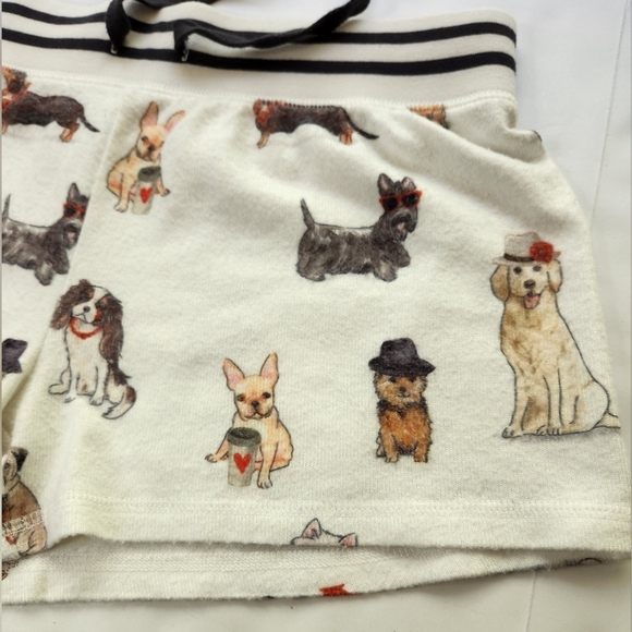 PJ Salvage - Picture 4 of 14